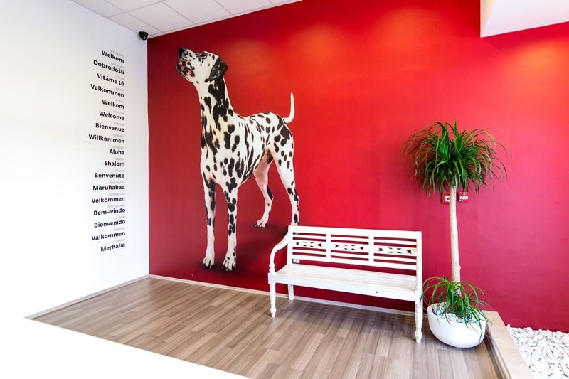 Design Hostel 101 Dalmatinac สปลิท ภายนอก รูปภาพ